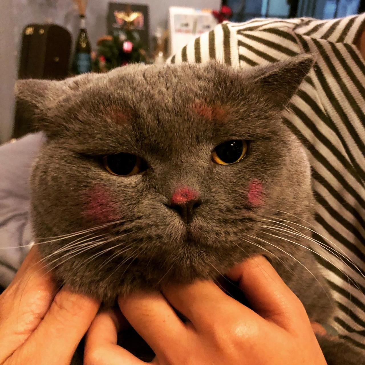 코코 호스텔 호치민 외부 사진